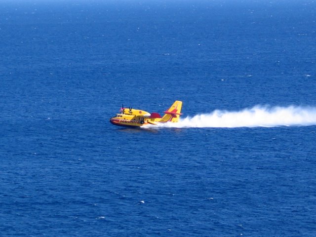 IMG_4351.JPG