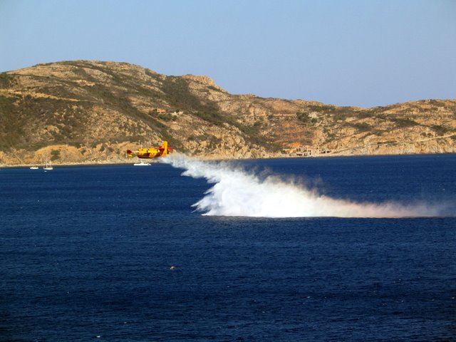 IMG_4355.JPG