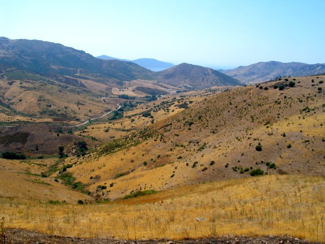IMG_4546.JPG
