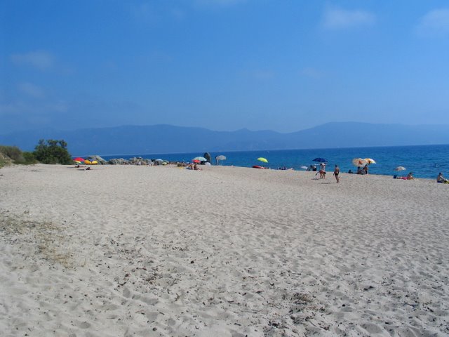 IMG_4586.JPG