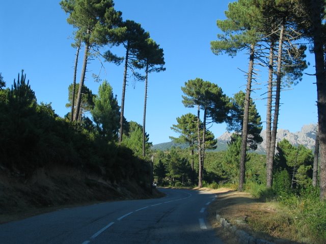 IMG_4629.JPG