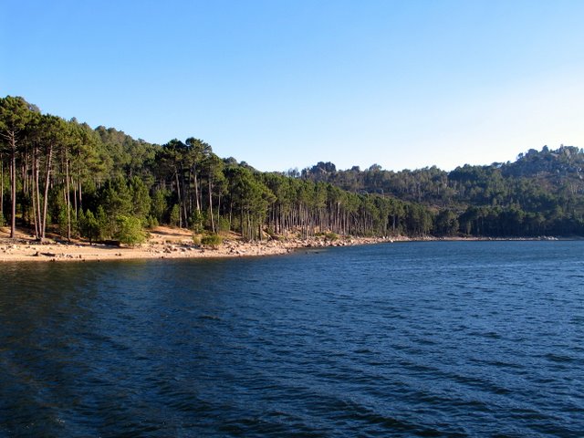 IMG_4650.JPG