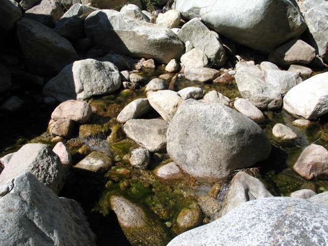 IMG_4866.JPG