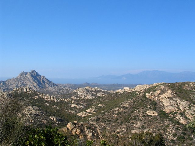 IMG_5150.JPG