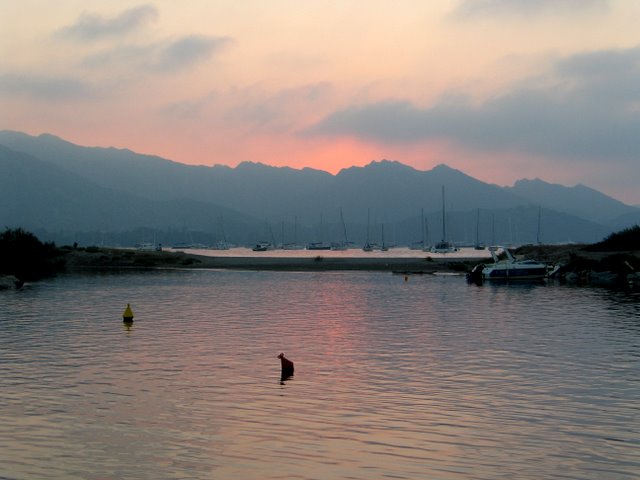 IMG_5227.JPG