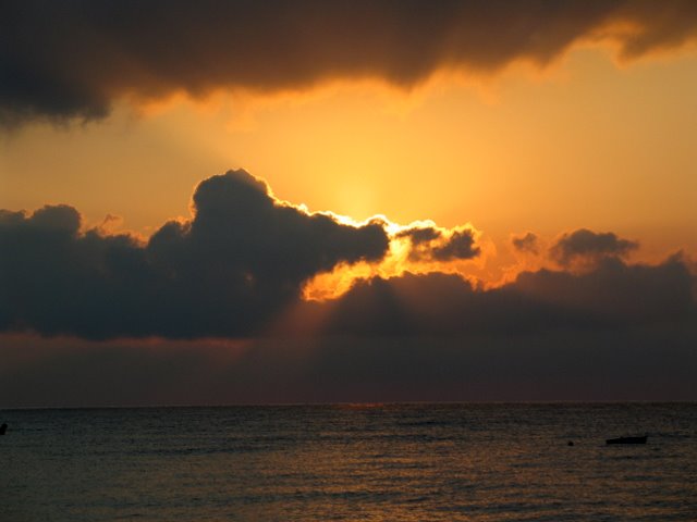IMG_5291.JPG