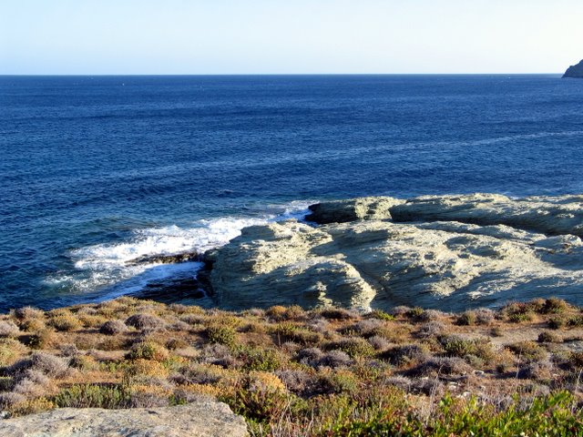 IMG_5345.JPG