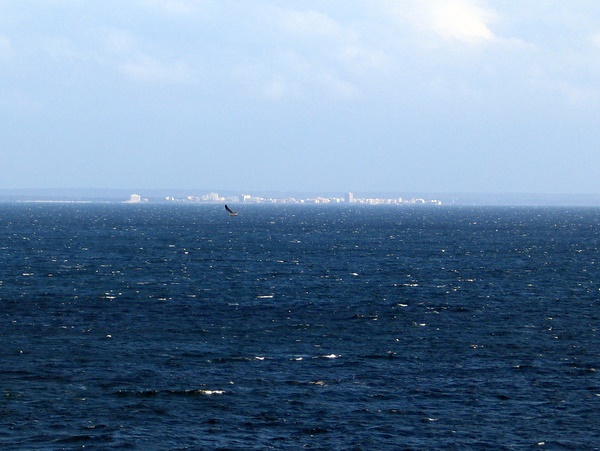 IMG_6430.JPG