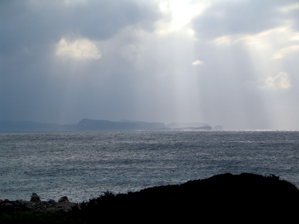 IMG_6486.JPG