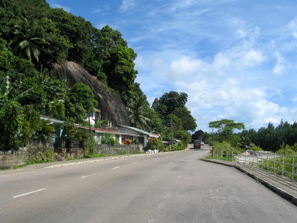 279.JPG