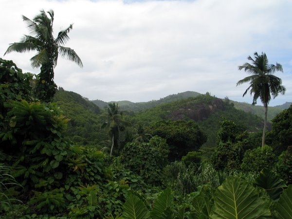 375.JPG