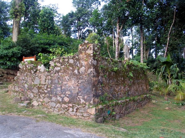 510.JPG