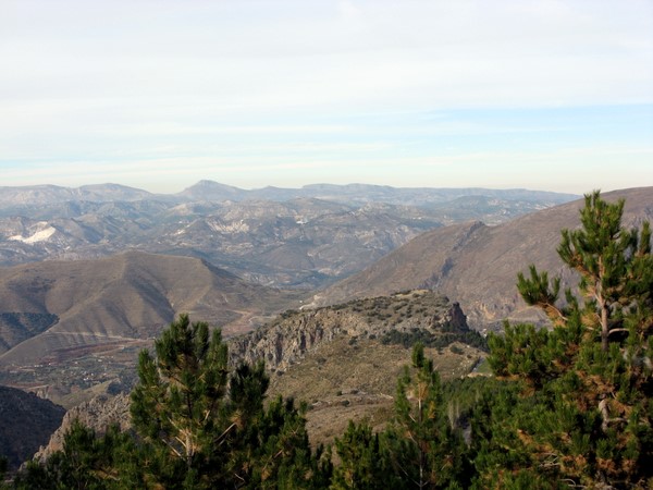 IMG_4385.JPG