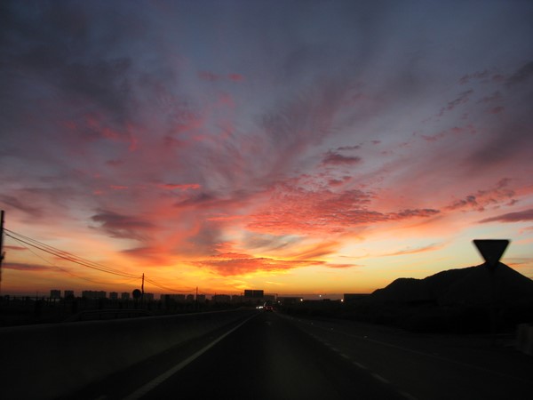 IMG_4950.JPG